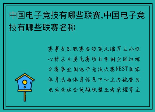 中国电子竞技有哪些联赛,中国电子竞技有哪些联赛名称